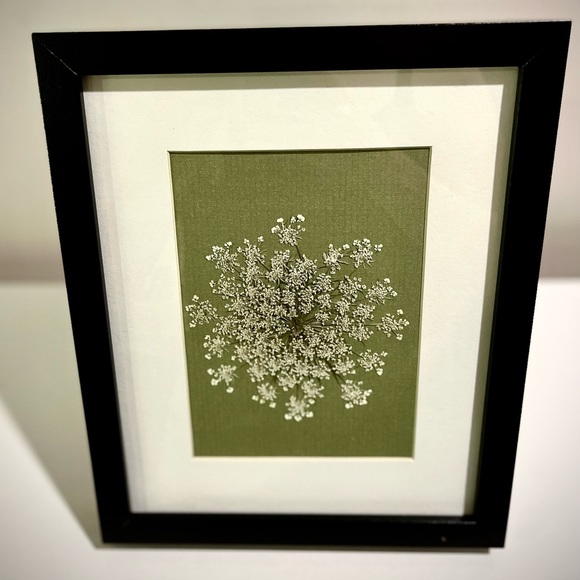 ⚘  Framed Wildlowers ⚘ - Picture 2 of 3